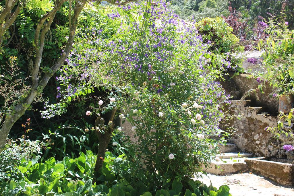 Quinta De Sao Tadeu Hotel Sintra Exterior foto