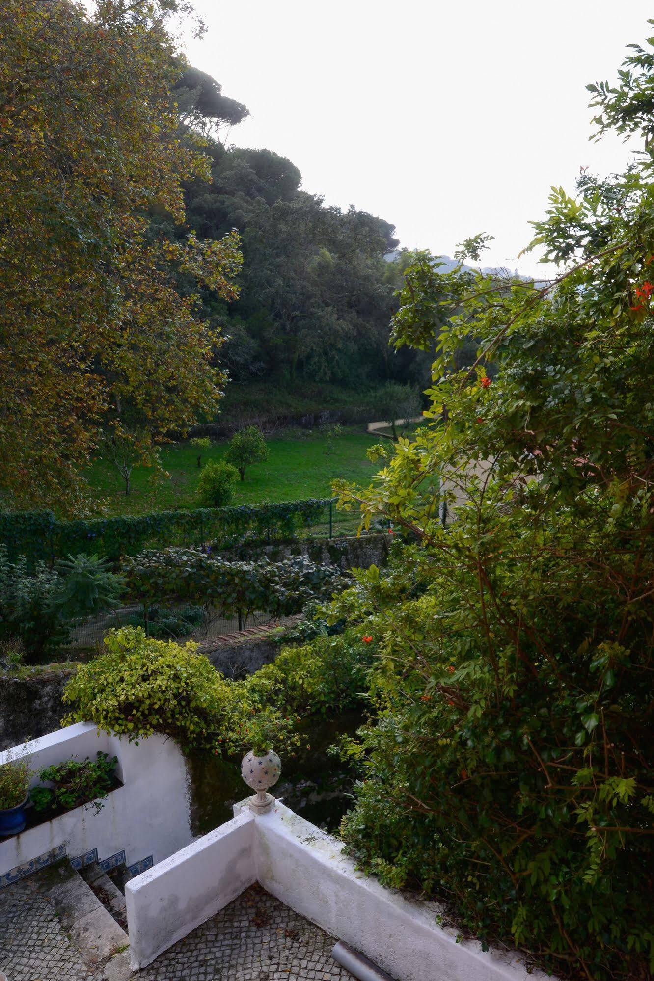 Quinta De Sao Tadeu Hotel Sintra Exterior foto